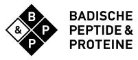 Logo Badische Peptide und Proteine (BPP) GmbH
